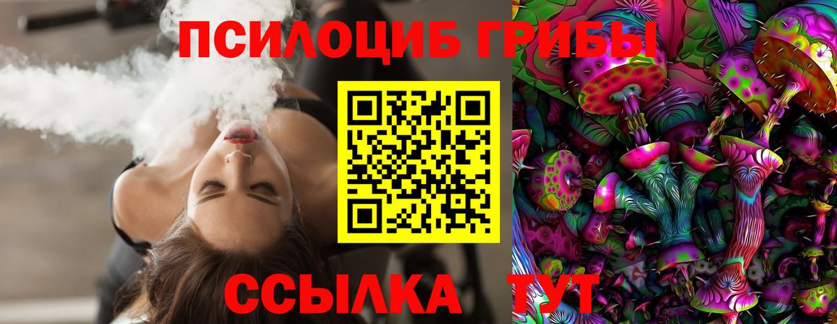 Галлюциногенные грибы Cubensis  купить  сайты  Аксай  Вход с VPN 